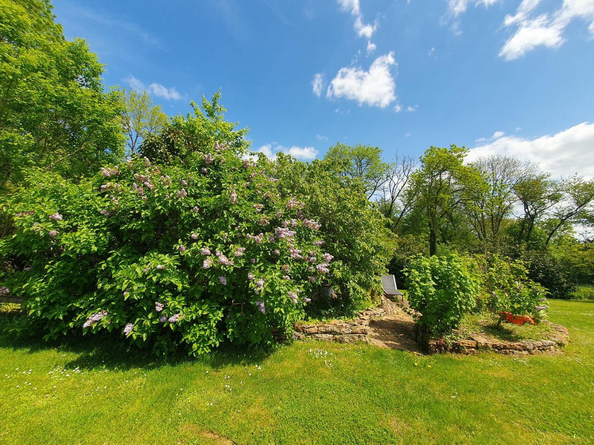 Bed and Breakfast Jardin Des Sens, La Rente D'Eguilly Екстер'єр фото